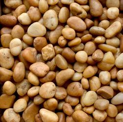 Ultra polish butterscotch , pebbles and black polish pebbles