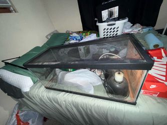 Reptile Tank