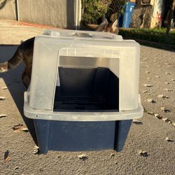 Cat Litter Box
