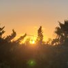 Alysa lomeli