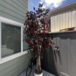 8 Foot Tree/plant Fake