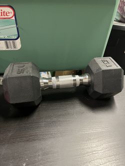 15 Pound Weight