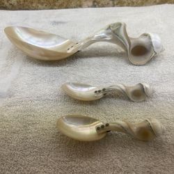 Collectable Spoon 