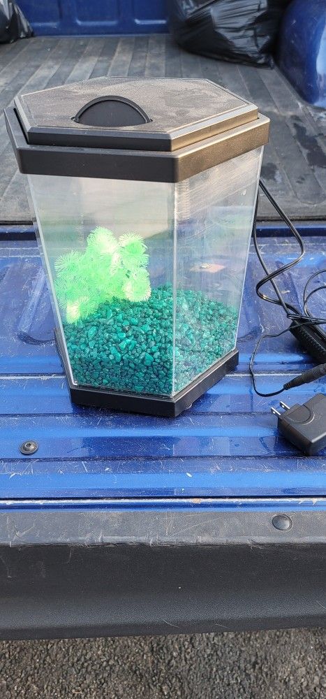 Fish Tank
