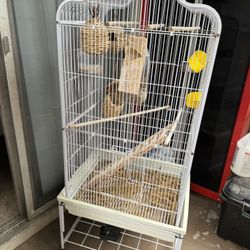 Bird Cage