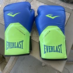 Boxing 🥊 Gloves 🥊  Everlast 12 Oz In Good Shape 