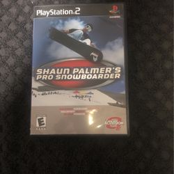 Shaun Palmer Pro Snowboarder 