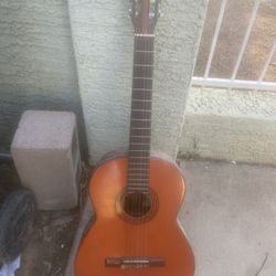 Acoustic Guitar