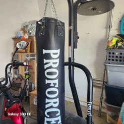 Pro Force Punching Bag