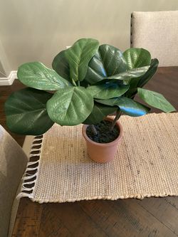 NWT Hearth & Hand With Magnolia Artificial Fiddle Leaf Tree home decor faux plant