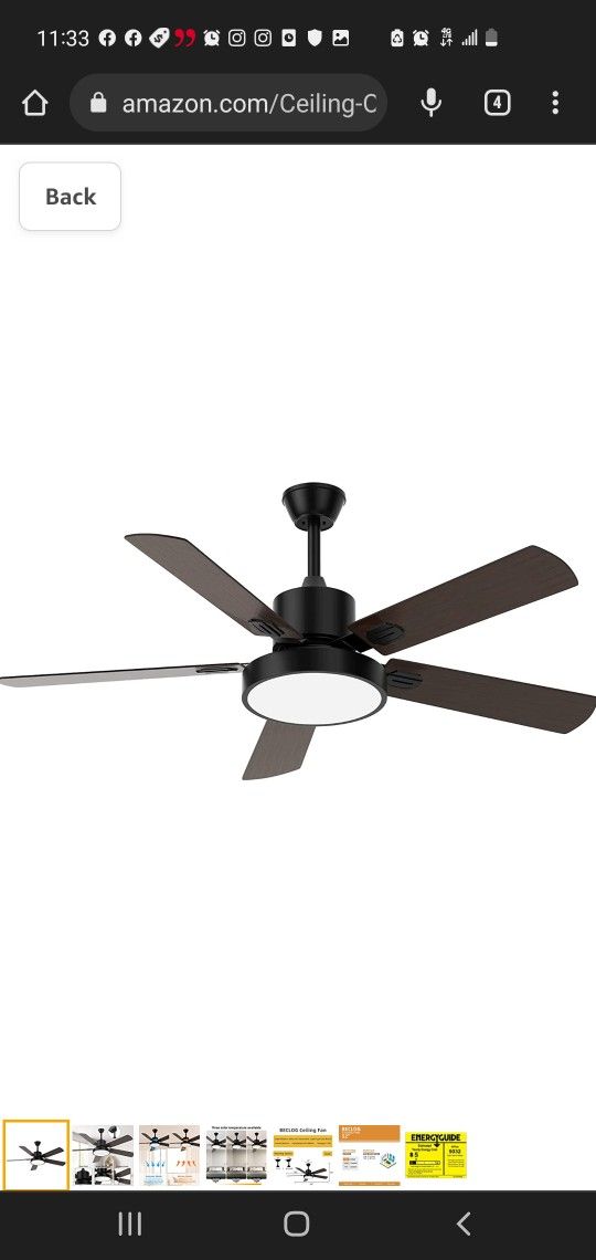 Ceiling Fan Las Vegas Shelly Lighting