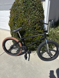 Custom Bmx Bike