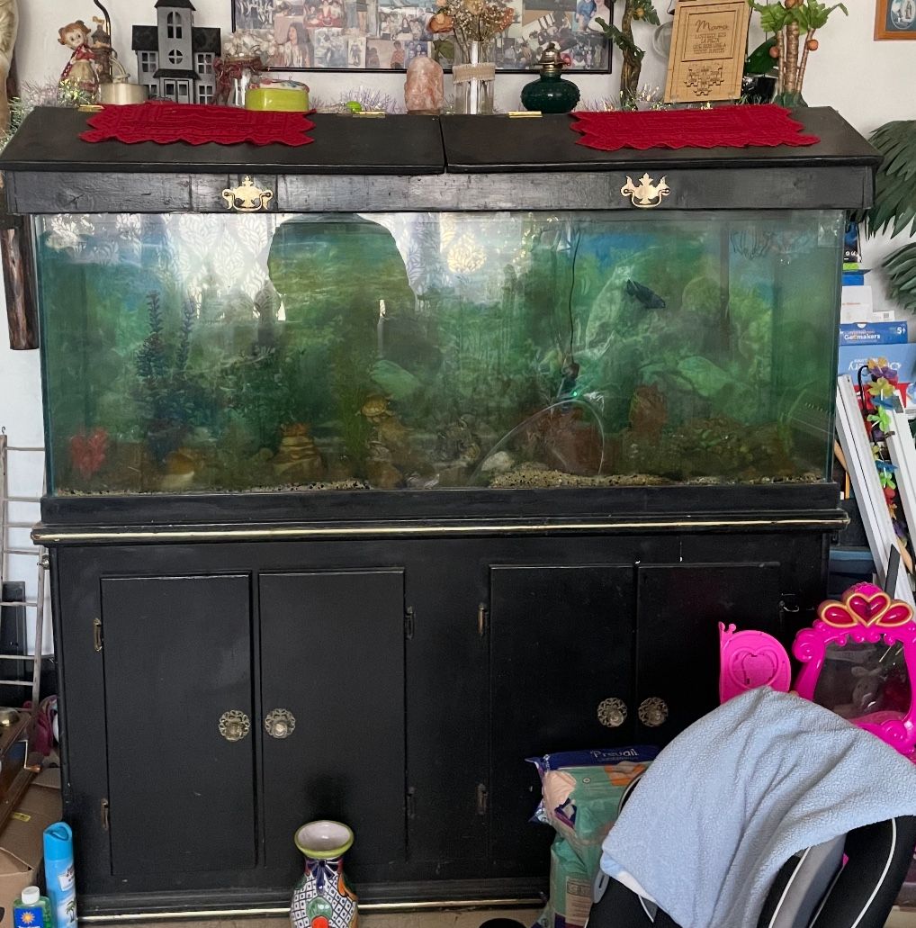 Aquarium/ Fish Tank