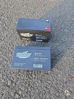 Interstate Batteries SLA1075 12V 8Ah AGM Battery (x2)