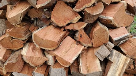 Mesquite,oak and Pecan