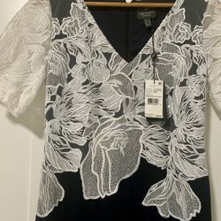 Adrianna Papell Evening Gown NEW