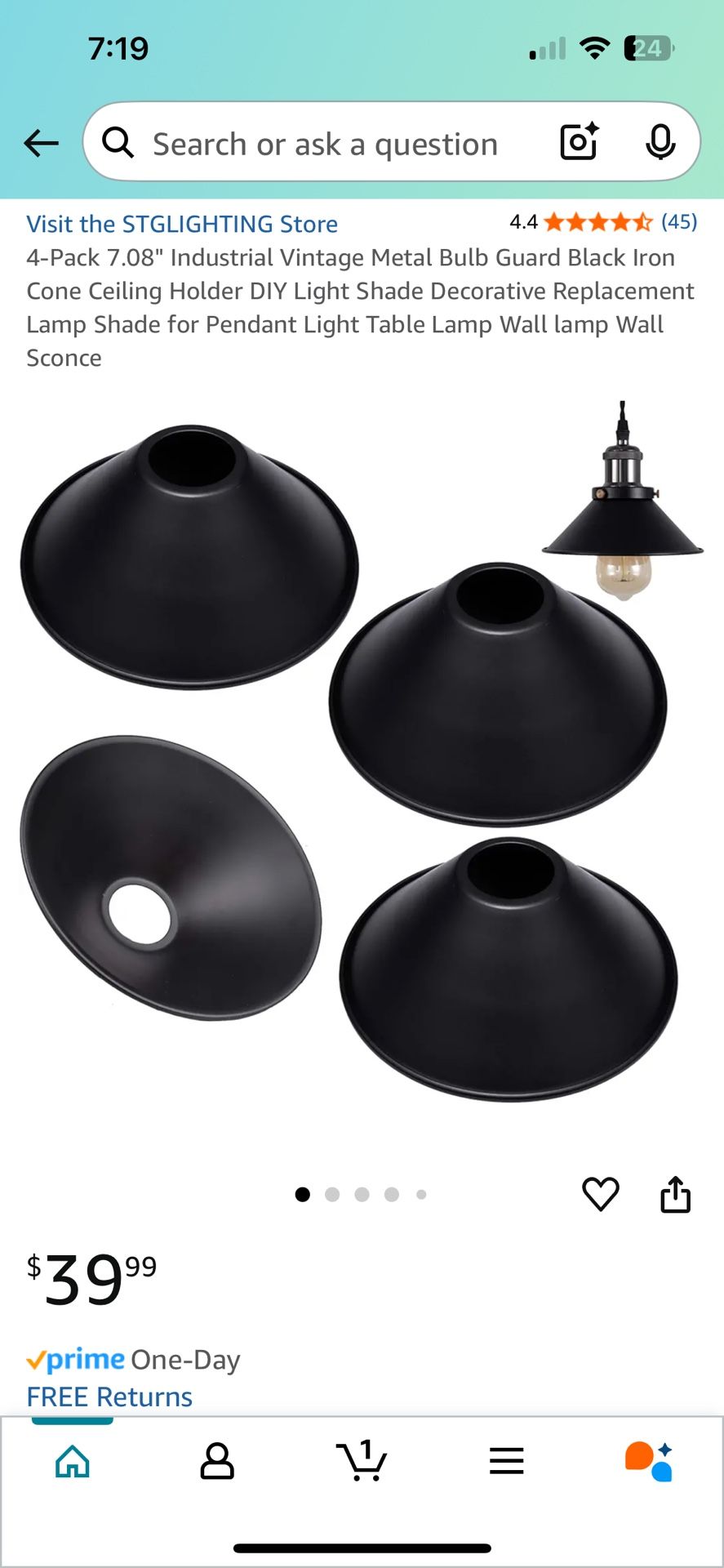 New Vintage Metal Bulb Guard Black Iron