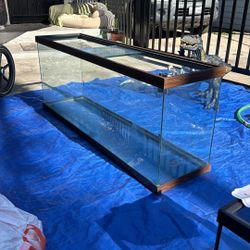 Water Talk For Aquatic Pets 