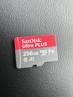 256 GB SD card