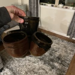 Plant Pot