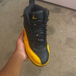Jordan 12s