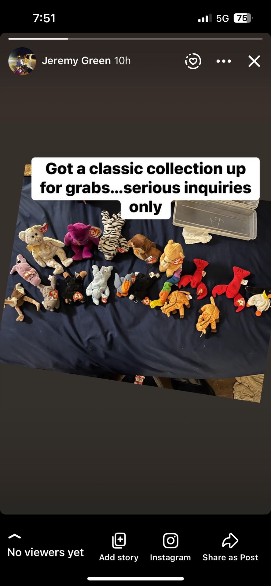 Beanie Baby Collection