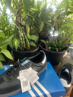 Adidas Samba OG (Never worn)(BRAND NEW) (9.5)men
