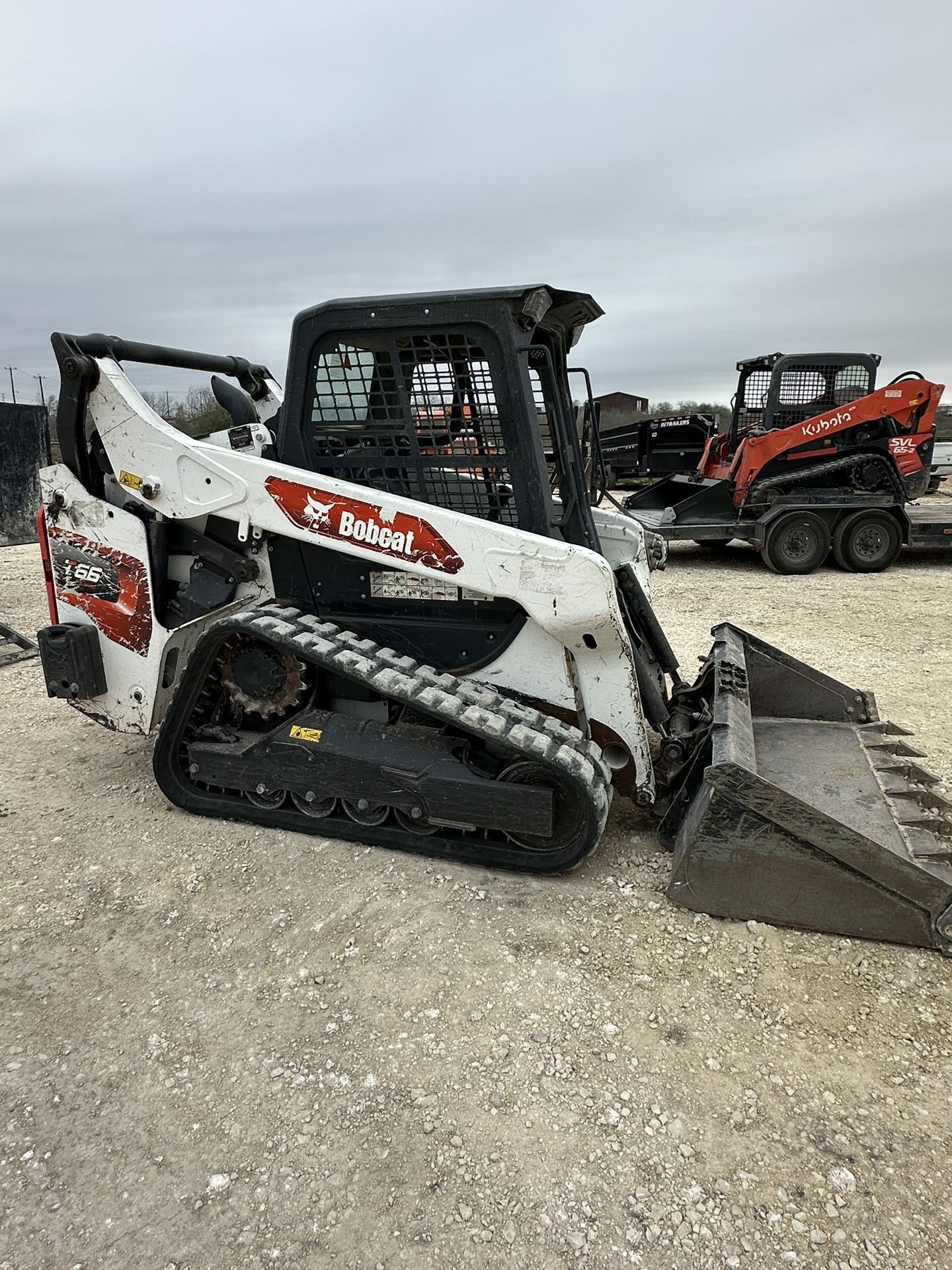 Bobcat - base