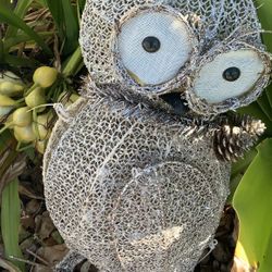 Light Up Owl 