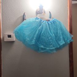 Blue Sparkly Skirt