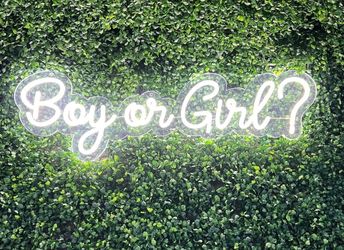 Gender reveal neon sign