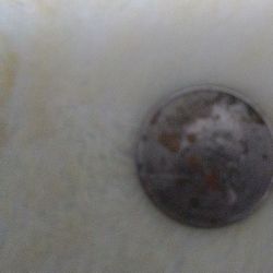 A 1990 Denver Quarter Ms 67