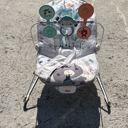Baby Bouncer