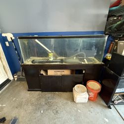 Fish Tank 120 Gallon