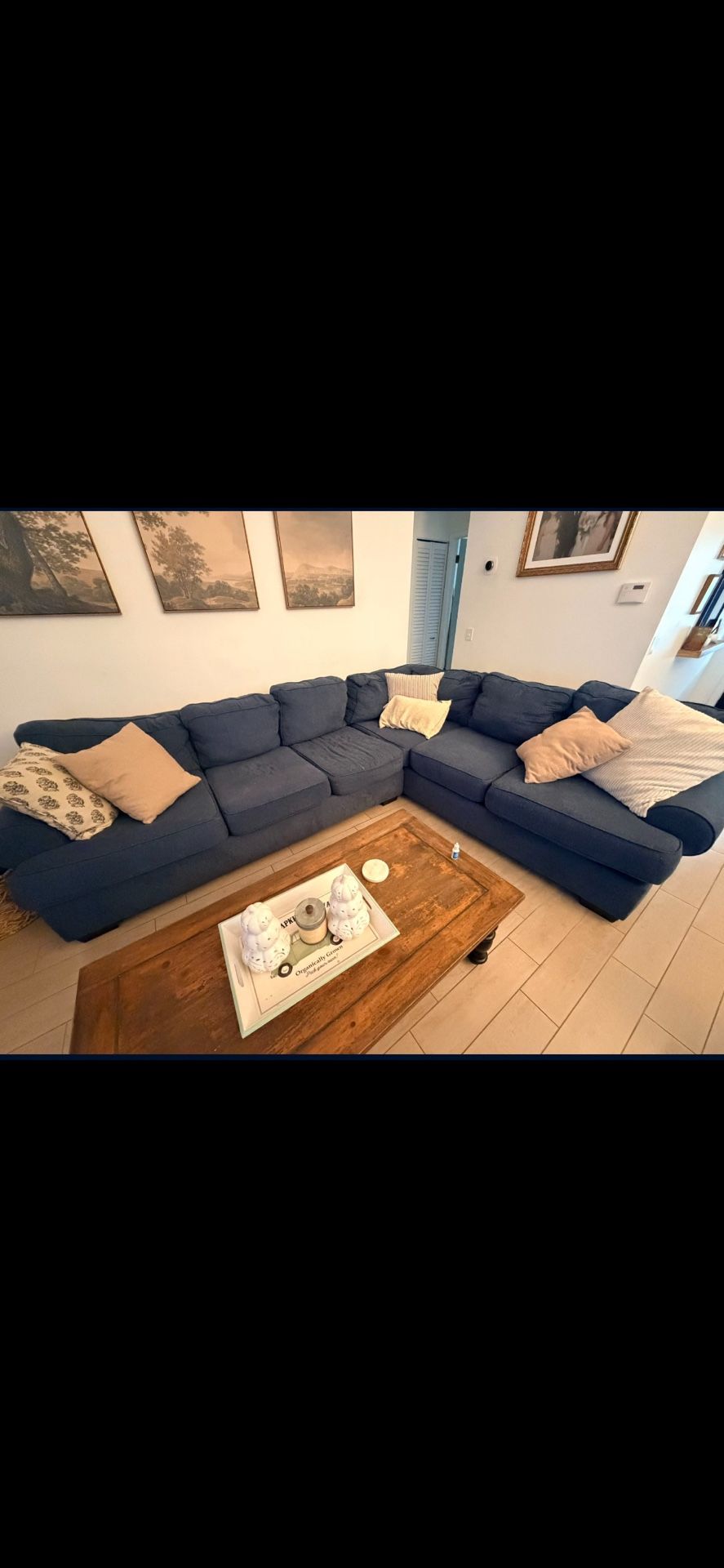 Sectional Couch With Queen Pullout Mattress