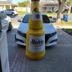 Modelo Piñata Life Size