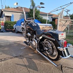 2007 Gangster  Softail Delux