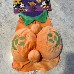 Disney Pet Costume 