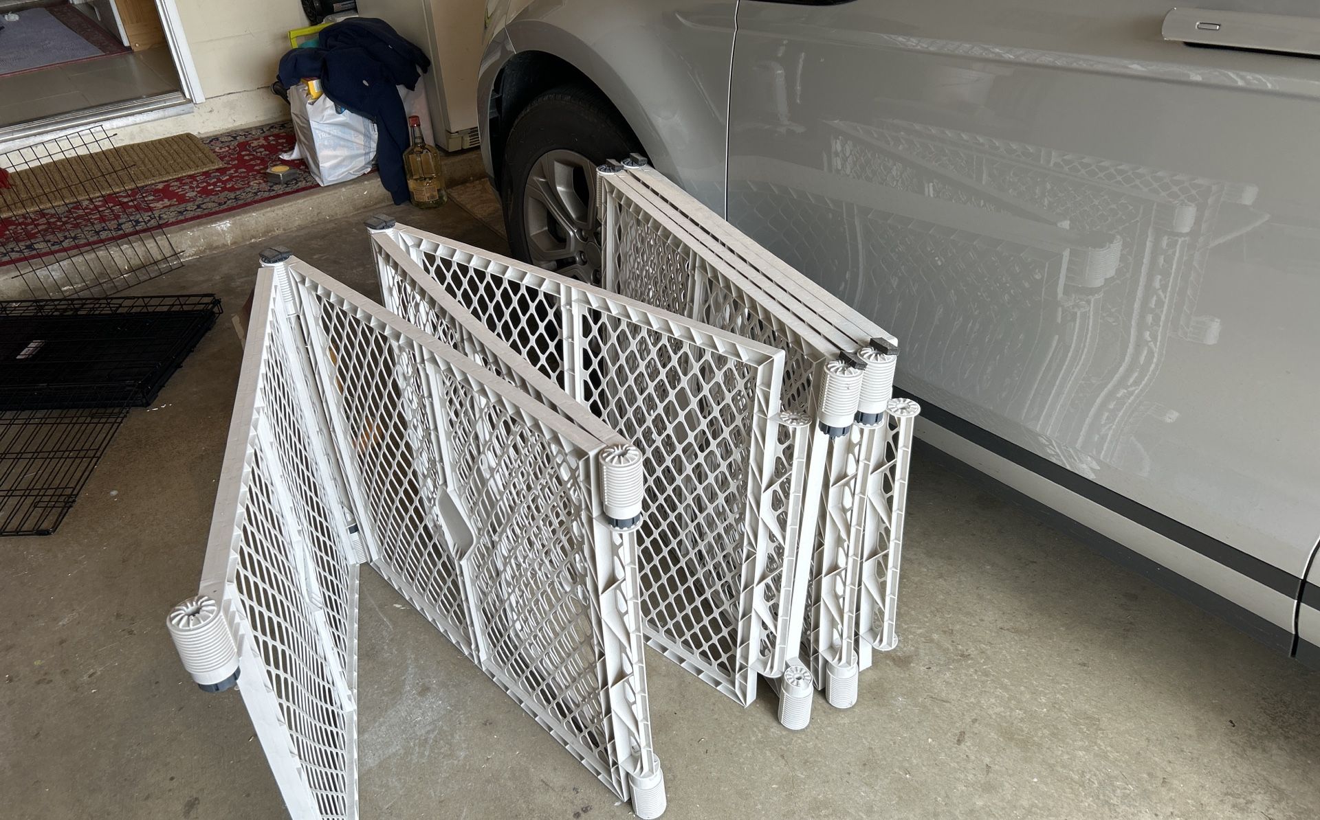 Dog Run Or Dog Enclosed Space