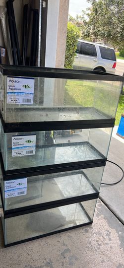 4 x 20 gallon long aquariums