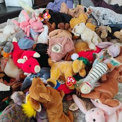 Beanie Baby Galore 