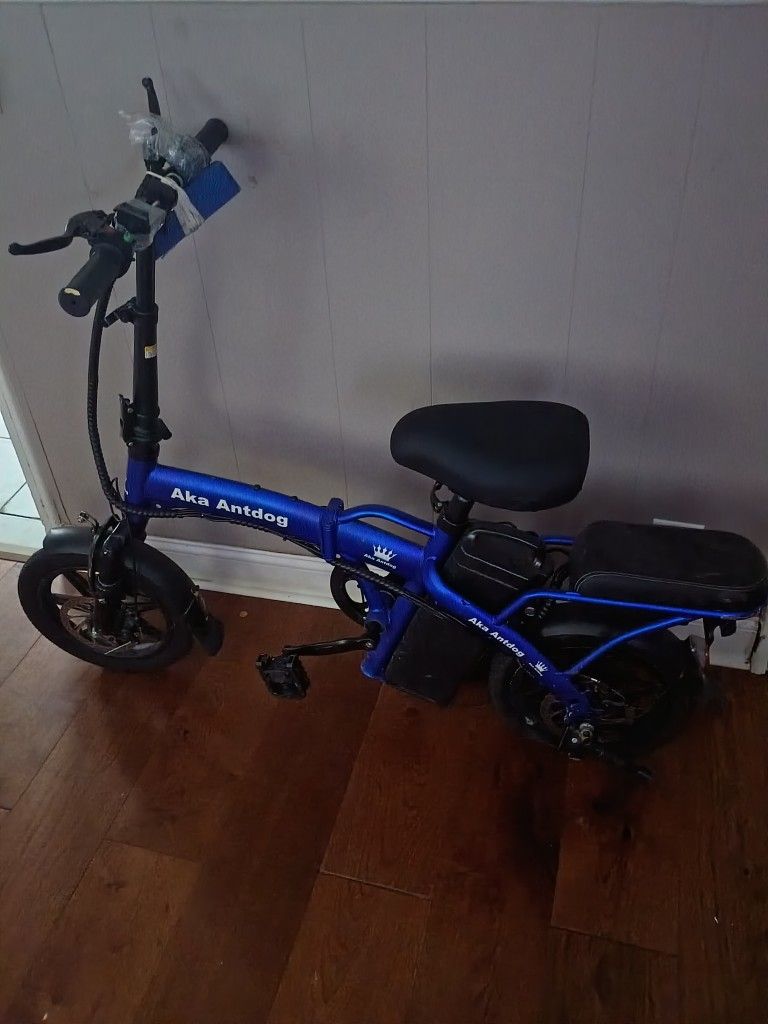 Electric Bike