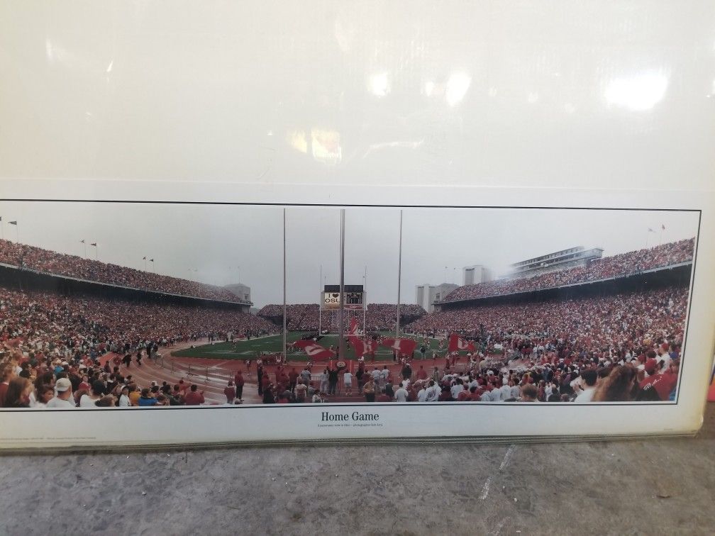 Ohio State print