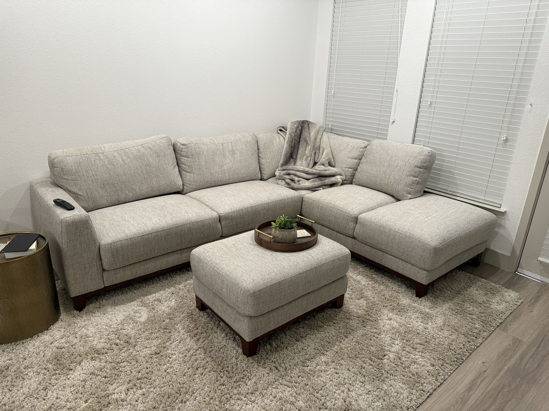 Sectional from living Spaces