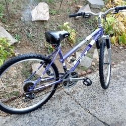 GT PALOMAR MOUNTAIN BIKE 