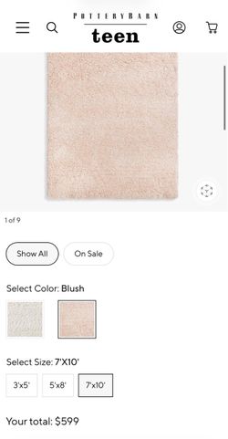 Pottery barn rug