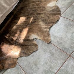 Cow Rug 