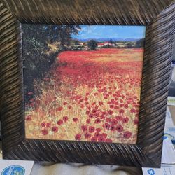 Red Poppy Picture 