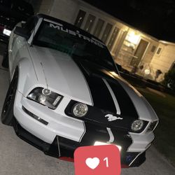 2008 Ford Mustang