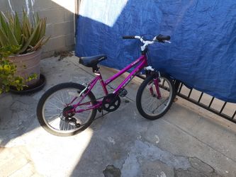 Girl Bike Tire Size 20